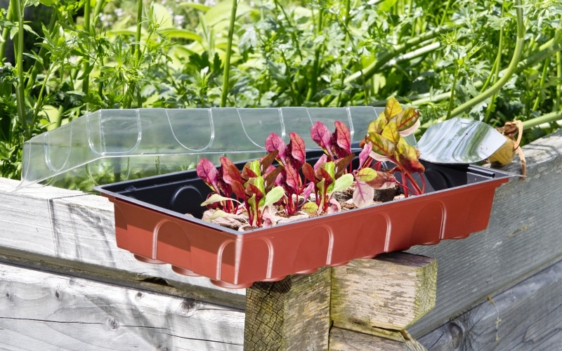 Zimmertreibhaus 35x23,5x11cm WINDHAGER HANDELSGESELLSCHAFT Zimmertreibhaus 35x23,5x11cm