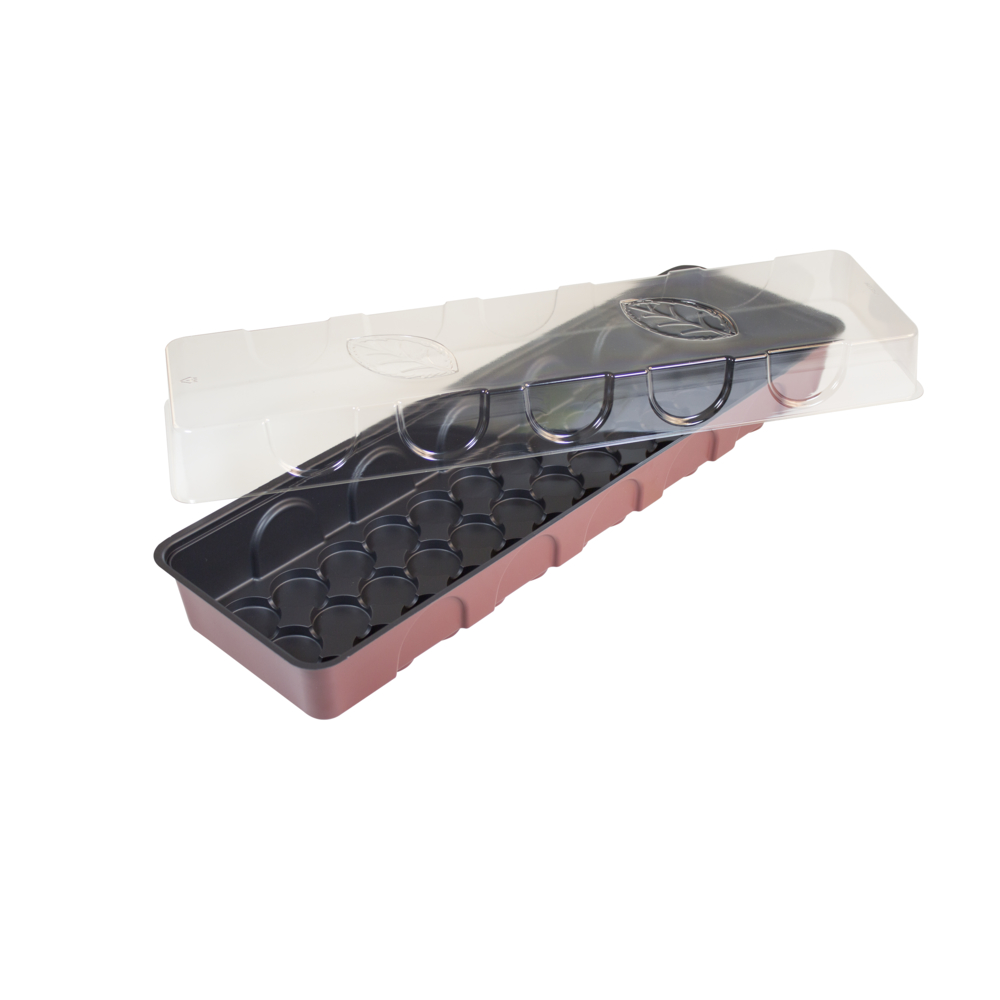 FB-Treibhaus 54,5x16,5x11cm WINDHAGER HANDELSGESELLSCHAFT FB-Treibhaus 54,5x16,5x11cm