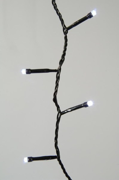 LED Lichterkette Basic schwarz, LED kaltweiß, 24 LEDs - 1,7m