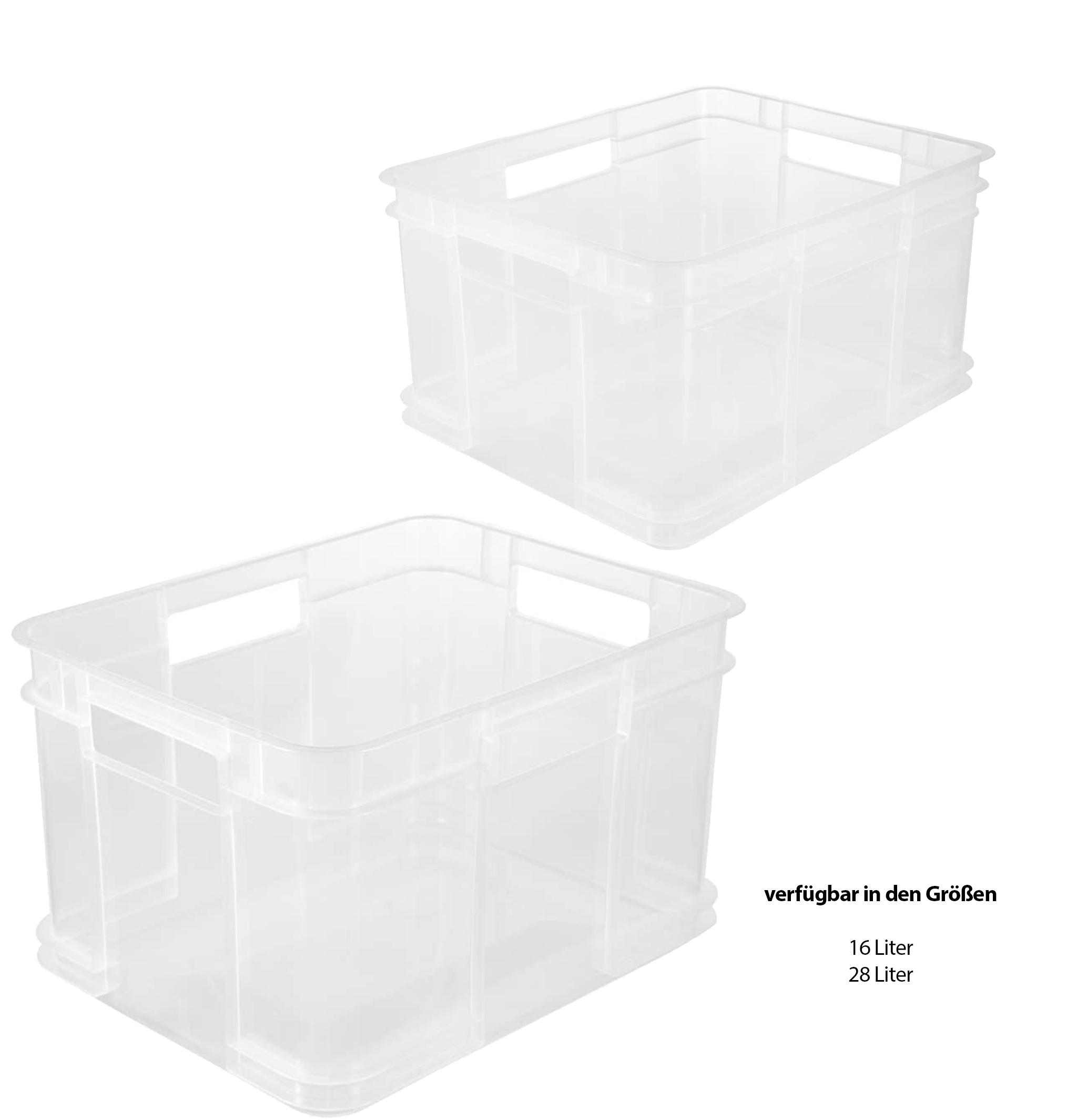 keeeper Euro-Box Bruno, transparent