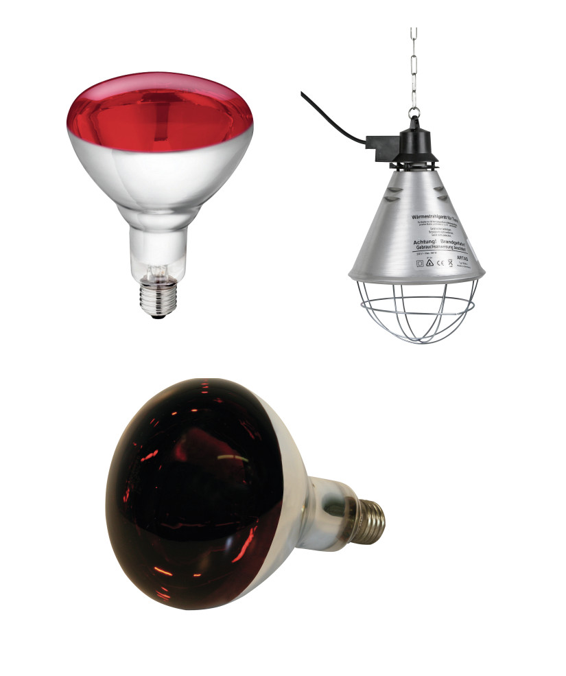 Kerbl Infrarot Rotlichtlampe Wärmelampe