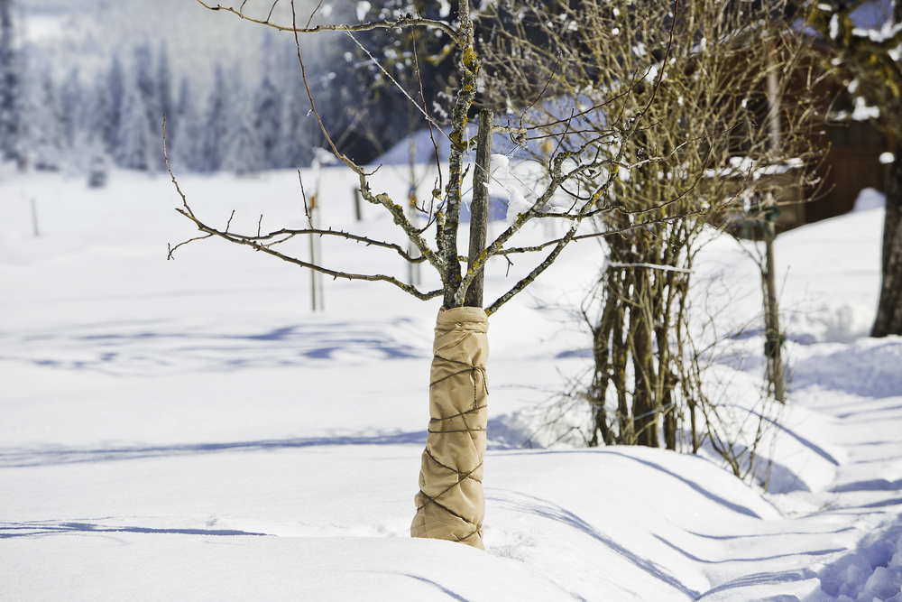 Winter-Vlies SUPERPROTECT 70g/m² 3x1,5m WINDHAGER HANDELSGESELLSCHAFT Winter-Vlies SUPERPROTECT 70g/m² 3x1,5m