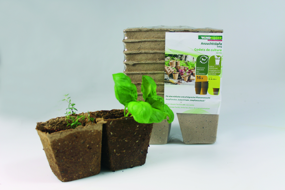 Anzucht-Toepfe 8cm eckig 16 Stk/Pkg WINDHAGER HANDELSGESELLSCHAFT Anzucht-Toepfe 8cm eckig 16 Stk/Pkg