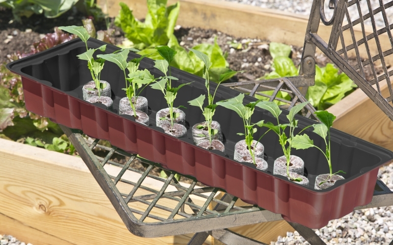 FB-Treibhaus30Toepfe 54,5x16,5x11cm WINDHAGER HANDELSGESELLSCHAFT FB-Treibhaus30Toepfe 54,5x16,5x11cm