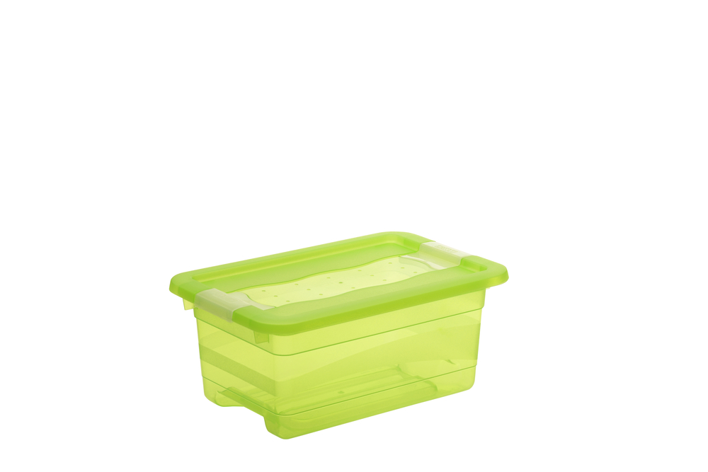keeeper Kristallbox Cornelia 4 Liter 29,5 x 19,5 x 12,5cm grün