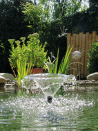 OASE GMBH PonDuett 3000 - 1.500 L/h Filterpumpe 